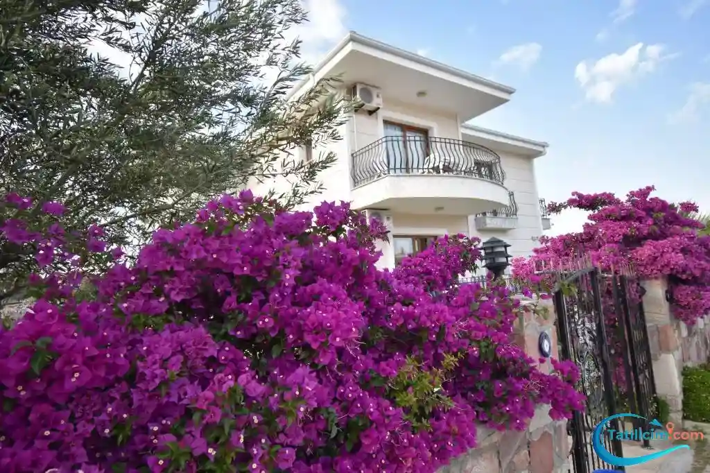 tatilcim.com Cunda Paradise Hotel