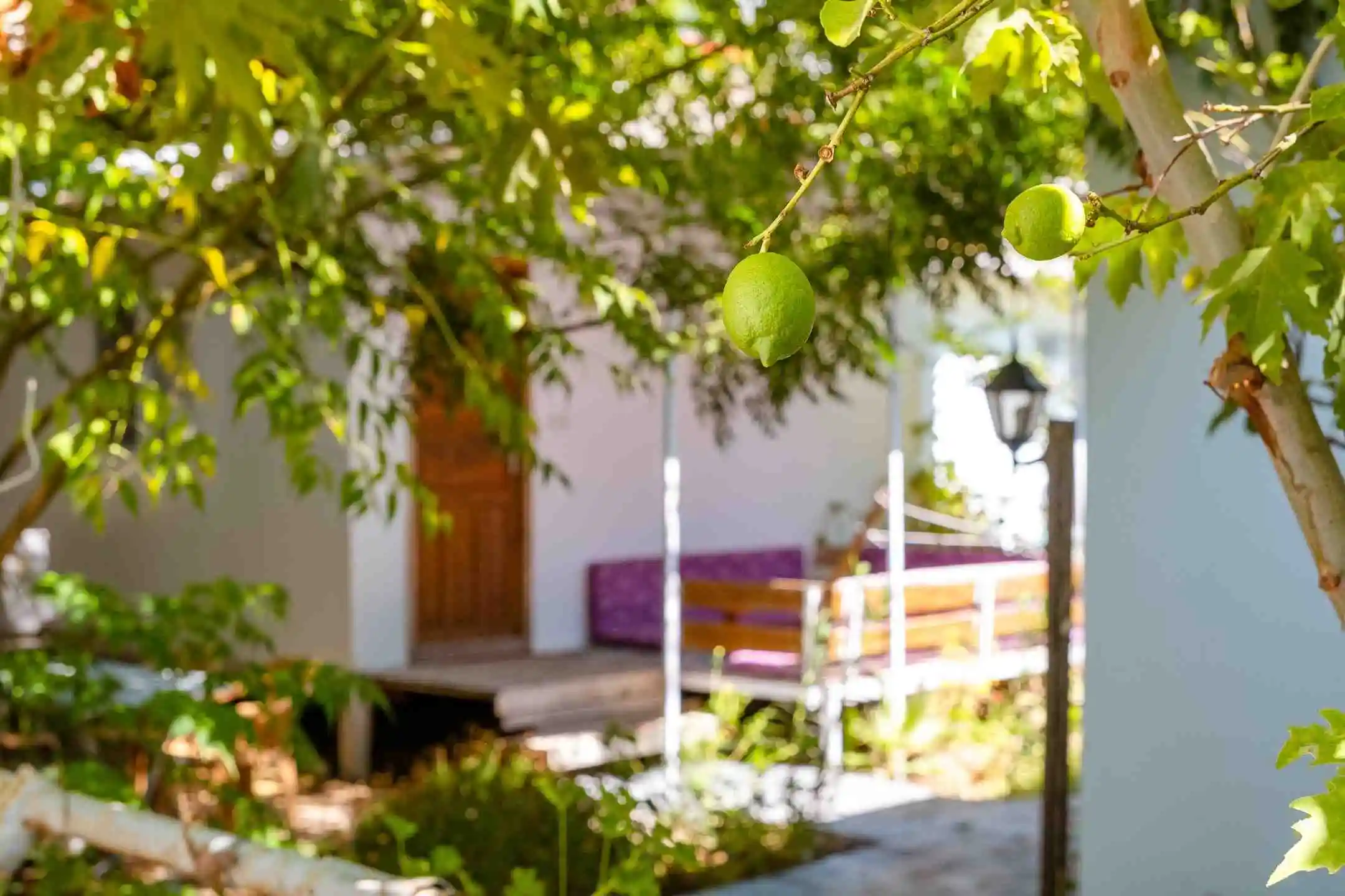 tatilcim.com Adrasan Altıntaş Apart