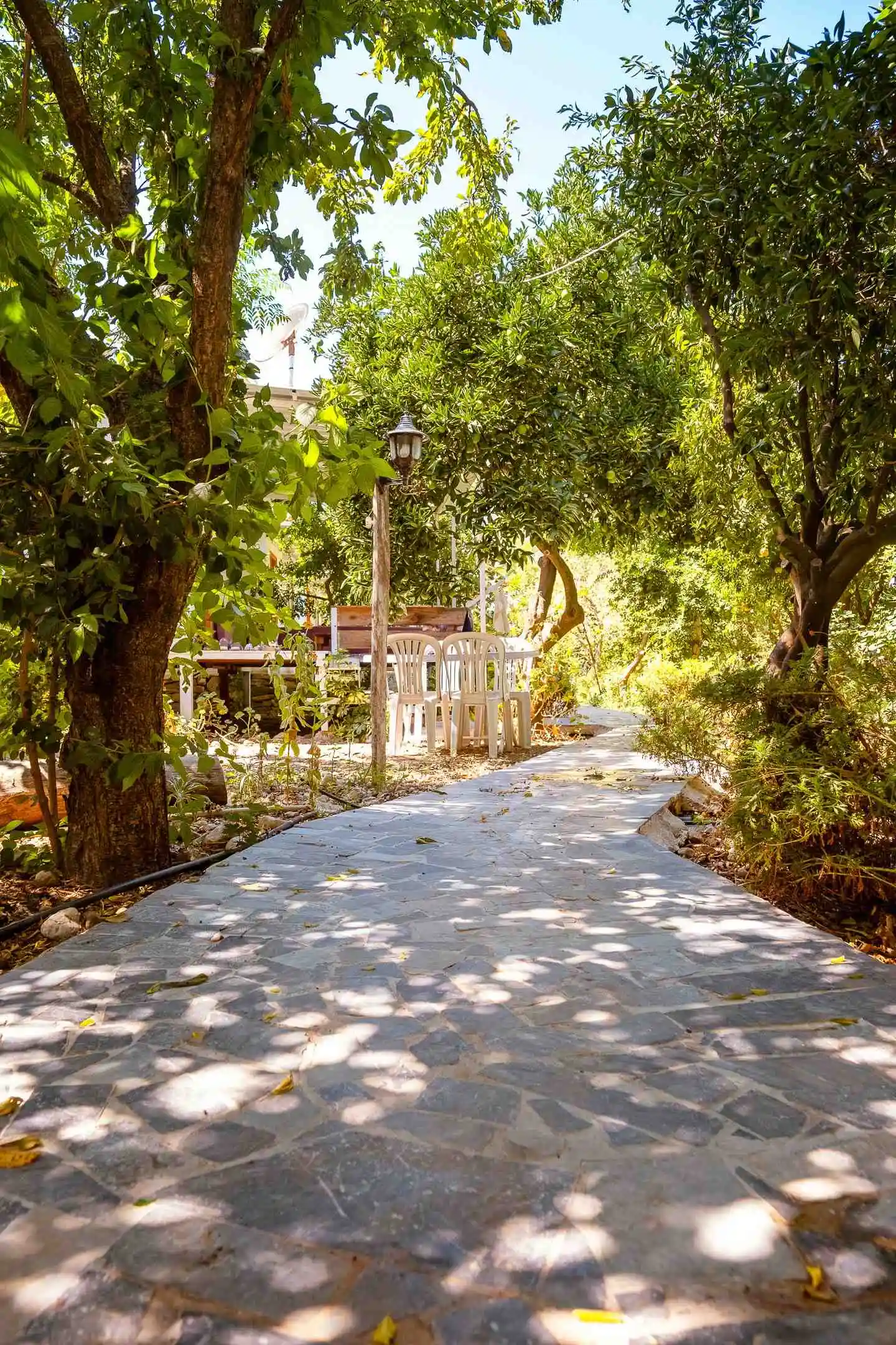 tatilcim.com Adrasan Altıntaş Apart