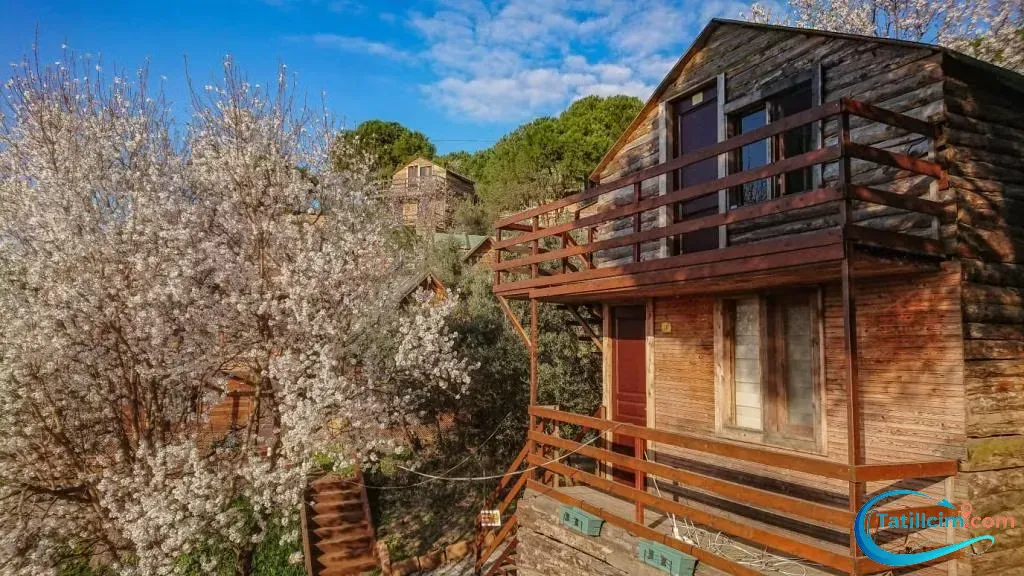 tatilcim.com Ayanya Beach Bungalows